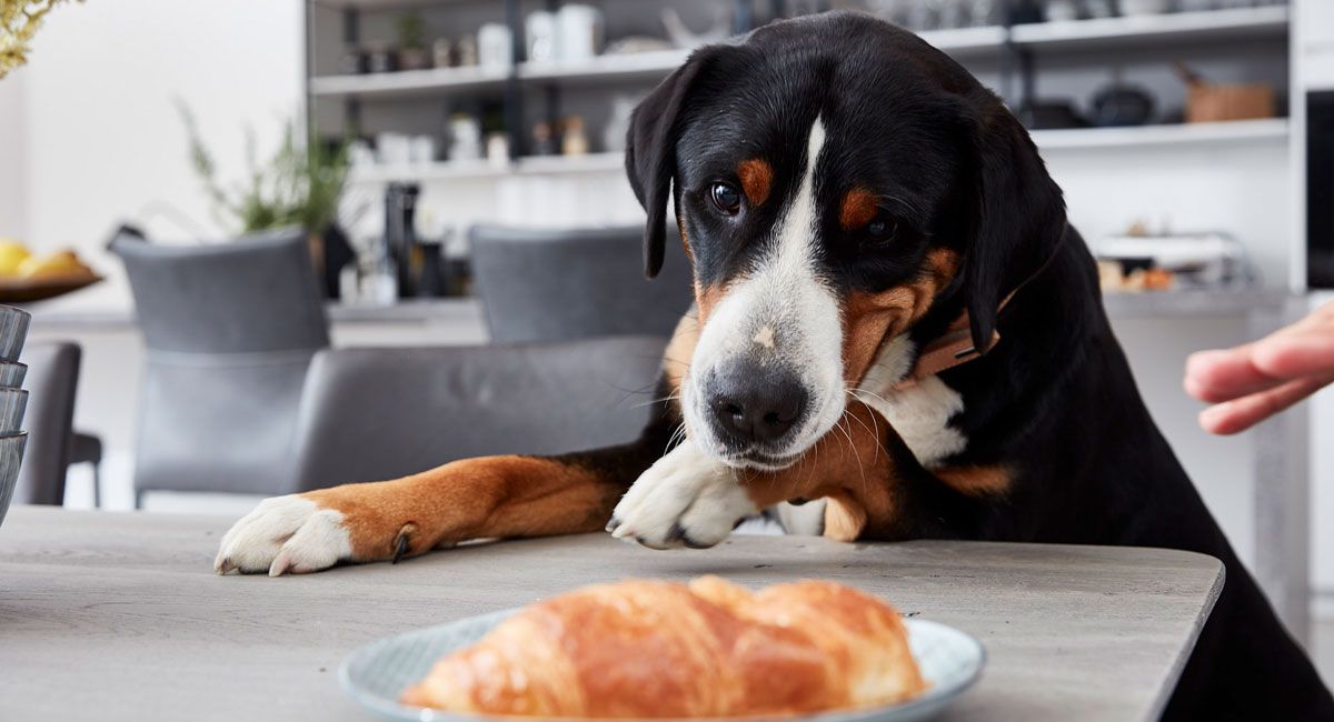 Kuchenruckwand Kuchentreff Klein Nordsee